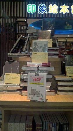 S&OP book in China 6