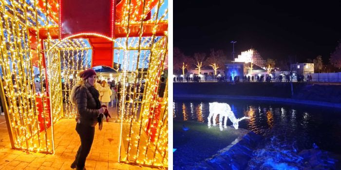 Un espectacular diciembre lleno de grandes encuentros - Navidad familiar