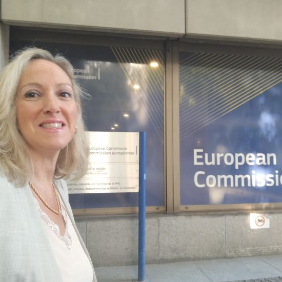 Embajadora del Comercio Europeo Una mirada desde dentro a la nueva política comercial de la UE - Puerta
