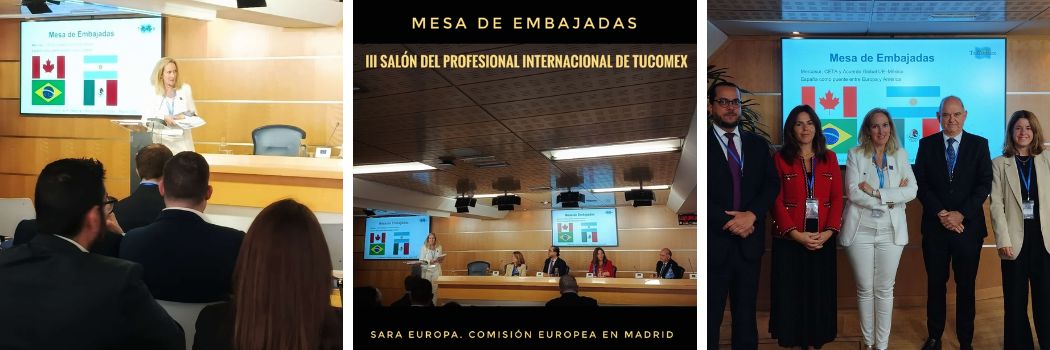III Salón del Profesional Internacional España 2030 en la UE y la competitividad europea - Mesa embajadas